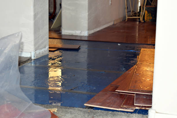 Professional Water Damage Restoration technician working in Harrisburg, IL